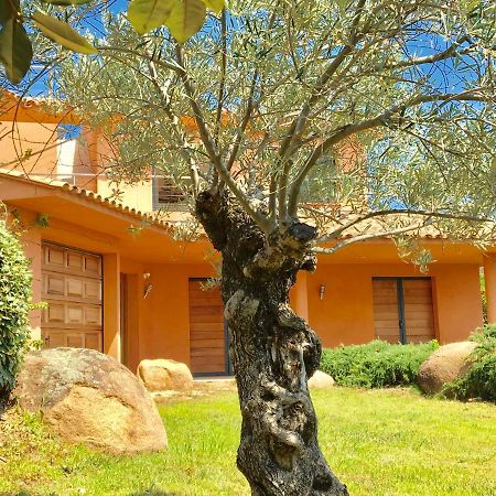 Villa Santa Giulia, Vue Panoramique Sur La Mer, 900 M De La Plage Porto-Vecchio  Buitenkant foto